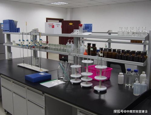 探索生命的奧秘 中南科學(xué)DNA實(shí)驗(yàn)玩具建設(shè)方案