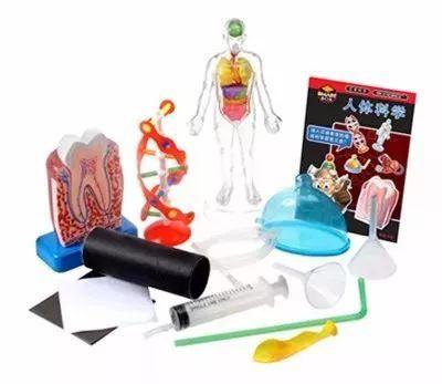 玩具里的科學(xué) 讓孩子從“王者”回歸實驗桌